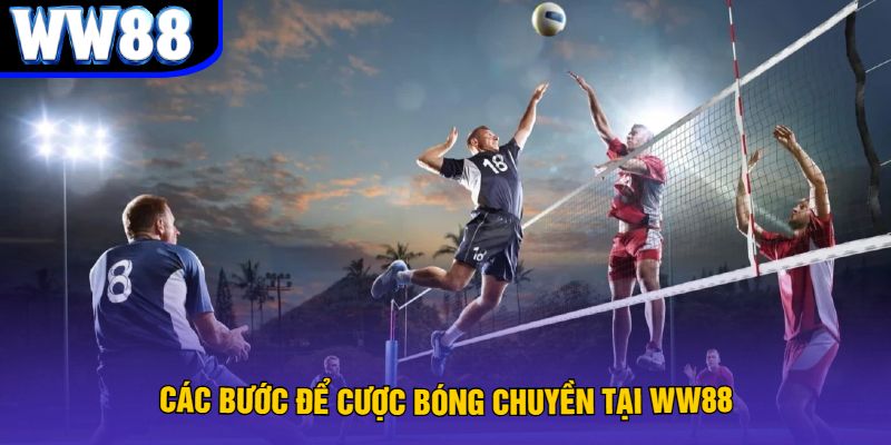 Các bước để cược bóng chuyền tại WW88