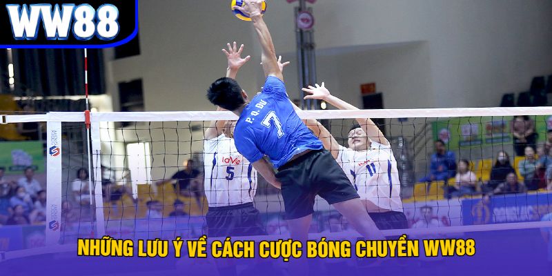 Những lưu ý về cách cược bóng chuyền WW88
