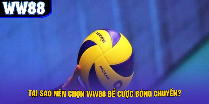 Tại sao nên chọn WW88 để cược bóng chuyền?