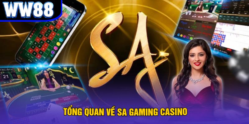 Tổng Quan Về SA Gaming Casino