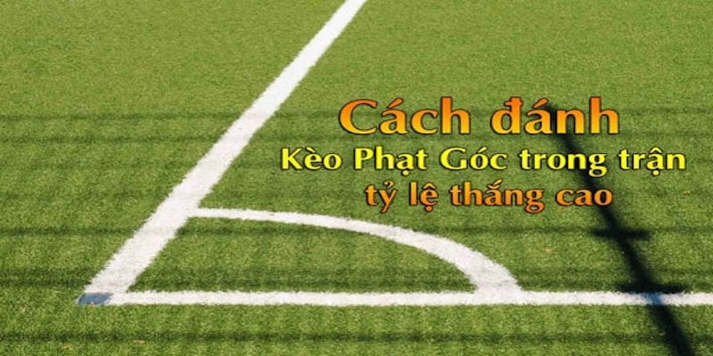 Thủ thuật bắt kèo góc ww88